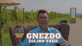 Željko Vasić  Gnezdo Official video 2018 [upl. by Eenal]