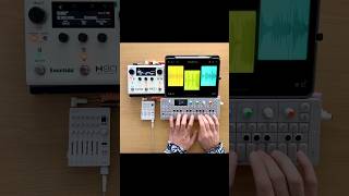 Live looping experimental beats with H90 Harmonizer OP1 Loopy Pro and TX6 shorts [upl. by Manda]