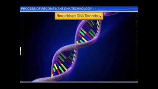 CBSE Class 12 Biology  Process of Recombinant DNA Technol  II [upl. by Einnal]