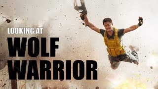 Wolf Warriors  A Look at Chinas Biggest Action Franchise [upl. by Cedell378]