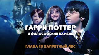 АУДИОКНИГА НА НОЧЬ quotГАРРИ ПОТТЕР И ФИЛОСОФСКИЙ КАМЕНЬquot ГЛАВА 15 [upl. by Alleirbag900]