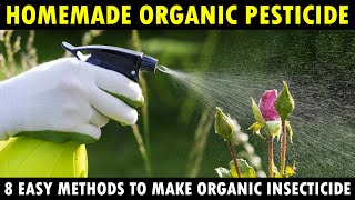 Best Homemade Organic Pesticides for Vegetable Plants  How to make Organic insecticide at Home [upl. by Hako]