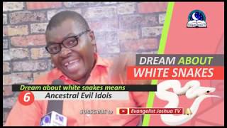 DREAM ABOUT WHITE SNAKE  Evangelist Joshua Orekhie Dream Dictionary [upl. by Etterual]