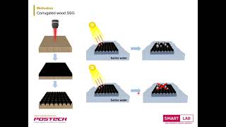 Laser Induced Graphitization on Natural Wood for Desalting Solar Evaporation [upl. by Eichman180]