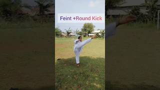 Feint Round Kick [upl. by Luanne908]