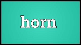 Horn Meaning [upl. by Shelly]