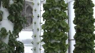 Aquaponics system in a retractable roof production system in Florida [upl. by Redlac]