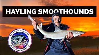 SMOOTHOUND Fishing Hayling Island Sandy Point 2023 Sea Fishing UK [upl. by Atrim595]