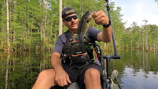 kayak bass fishing [upl. by Leesen]