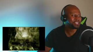 Awesome Reaction To Swedish Death Metal Dark Tranquility  Monochromatic Stains [upl. by Inoek]