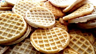 100 Eggo Waffle Challenge [upl. by Gebhardt854]