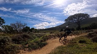 Stellenbosch Tripping  Some Bushes May Have Been Harmed [upl. by Friedrick684]