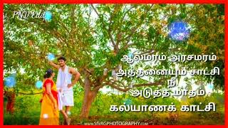 ஆலமரம் அரசமரம் அத்தனையும் சாட்சி Alamaram arasamaram athanaiyum chatchi tamil love song [upl. by Drhcir]