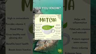 Benefits of Drinking Matcha [upl. by Ennaed]