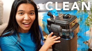 I cleaned my GROSS turtle tank filter How to Clean a Cascade Canister Filter  step by step [upl. by Sitto483]