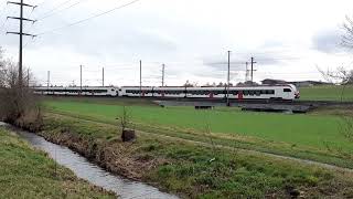 SBB RABe 523 Mouette slow pass by in Bassersdorf [upl. by Gally]