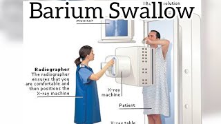 Barium swallow  Radiographer  Radiology information [upl. by Raffaello]