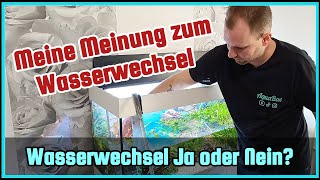 Muss man im Aquarium Wasserwechsel machen  Wie oft sollte man einen Wasserwechsel machen [upl. by Arad119]