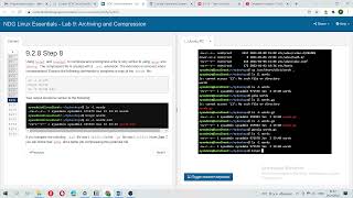 NDG Linux Essentials Lab 9 [upl. by Annod]