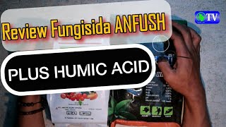 Review Fungisida ANFUSH‼Trichoderma Gliocladium  Humic Acid Pencegah Layu Fusarium [upl. by Flora]