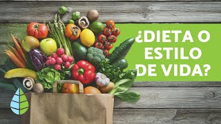 Diferencia entre VEGANO VEGETARIANO y CRUDIVEGANO [upl. by Ymmat750]