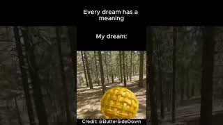 Every dream has a meaning meme  credit ButteredSideDown [upl. by Louis]