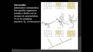 5 1 NOMENCLATURA Proceso histórico de las clasificacionesparte 3 [upl. by Enitsyrhc922]