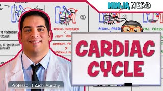 Cardiovascular  Cardiac Cycle [upl. by Asit248]