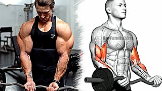 How To Build Your ARMS Fast 14 Effective Exercises for Biceps Triceps Forearms [upl. by Milissa]