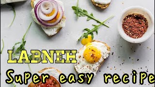 Labneh Recipe EASY fun Weight Loss [upl. by Mal864]