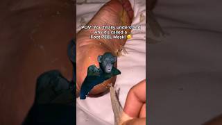 Crazy peeling  Insane feet transformation  Viral foot peeling mask shorts [upl. by Anaujahs]