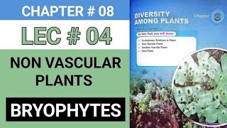 NON VASCULAR PLANTS [upl. by Cofsky]