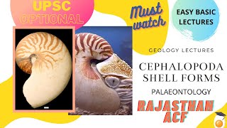 CEPHALOPODA SHELL FORMS  Geology Paleontology Optional for UPSC IAS and Indian Forest Service [upl. by Alyahc]