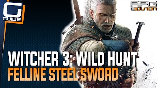 Witcher 3 The Wild Hunt  Feline Steel Sword Diagram Location Cat School Gear [upl. by Yarised456]