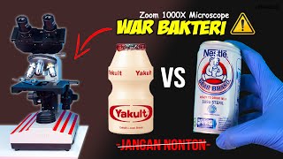 BAKTERI YAKULT vs SUSU BERUANG  Bear Brand Milk vs Yakult Microscope Zoom 1000X [upl. by Abott817]