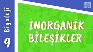 Biyoloji 9Sınıf  İnorganik Bileşikler [upl. by Salohcim]