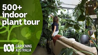 Huge 500 indoor plant collection tour and plant care tips  Indoor plants  Gardening Australia [upl. by Tome785]