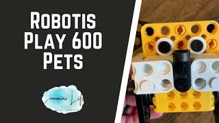 Our Robotis Play 600 Pets Kit in Action [upl. by Llenyar]