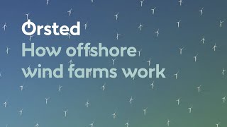 How Offshore Wind Farms Work [upl. by Summons]