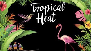 PREVIEW Rival de Loop Young Tropical Heat LE ¦ Mila [upl. by Laven]