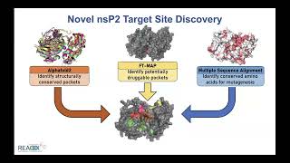 Nat Moormans 20240320 Antiviral Drug Discovery AViDD Open Science Forum Talk [upl. by Anauqed25]