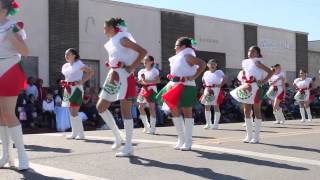 2015 Charro Days Childrens Parade [upl. by Aiouqes119]