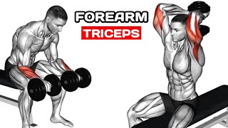 Arm Blaster Killer Triceps and Forearms Workout at the Gym [upl. by Kcirad527]