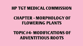 Hp tgt medical commission important topic  Modification of ADVENTITIOUS ROOTS  Neet biology [upl. by Iloj577]