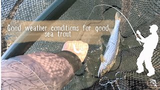 Good weather conditions for good sea trout [upl. by Godding700]