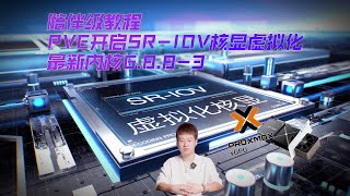 2024陪伴级教程PVE最新内核版本6883下正确开启SRIOV虚拟化核显方式 [upl. by Adnarrim]