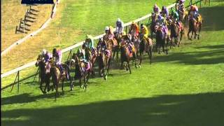 Prix de lArc de triomphe 2011  Danedream  Equidia Live [upl. by Wj]