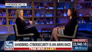 Dana Perino Interviews Facebooks Sheryl Sandberg 4618 [upl. by Nerty]