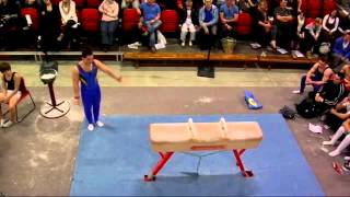 Ashley Watson  Pommels  2010 Masters [upl. by Yhotmit]