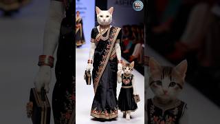 Cat and Kitten Fashion Show😻💫 cat baby shorts trending [upl. by Sension]